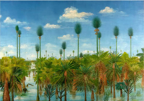 The picture is an artist's rendition of what Wuda looked like 298 million years ago. Wang Jun's team identified 12 types of plants in the tropical swamp and restored them. Provided to China Daily 