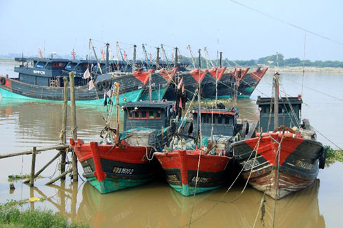 Vessels anchor in Batou Township of Denghai District in Shantou, south China's Guangdong Province, May 15, 2012.(Xinhua/Yao Jun)