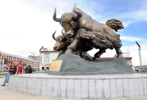 Yak sculptures stand strong on August 6, 2012, Nagqu county, Tibet autonomous region. [Photo/Xinhua] 