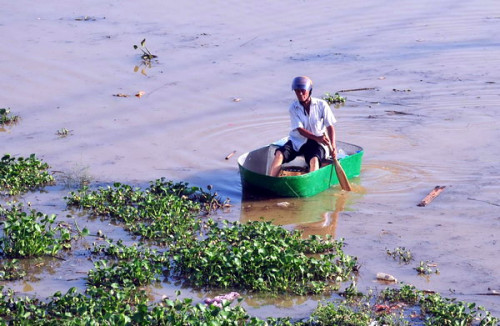 A man rows a makeshift boat across a flooded cropland in Shibu village, Nanning in Southwest Chinas Guangxi Zhuang autonomous region, Aug 20, 2012. Typhoon Kai-Tak has left three people dead, one person missing and forced over 111,500 people to evacuate