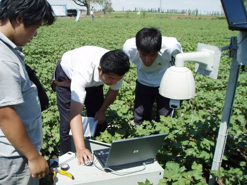 A China Mobile drip irrigation demonstration site in Shihezi, a county in northern Xinjiang Uygur autonomous region. The company launched pilot projects in the county in 2009 because of a severe shortage of water supply in the region. The wireless monitoring and controlling system can identify irrigation quantity and duration based on information it has gathered on soil dampness. [Photo/China Daily] 