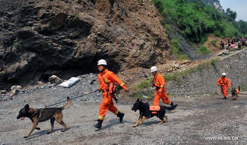 Rescuers and rescue dogs search for survivors in the quake-hit Yiliang County of Zhaotong, southwest China's Yunnan Province, Sept. 9, 2012. The Ministry of Civil Affairs said Sunday that the quakes have killed 81 people in the city of Zhaotong till 11 a.m. Sunday. Rescue work is still underway. (Xinhua Photo)