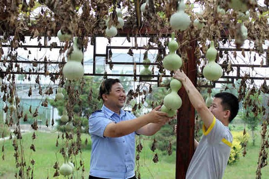 A prison officer and a convict harvest gourds at a juvenile correction center in Beijing on Sept 25. (Photo: China Daily)