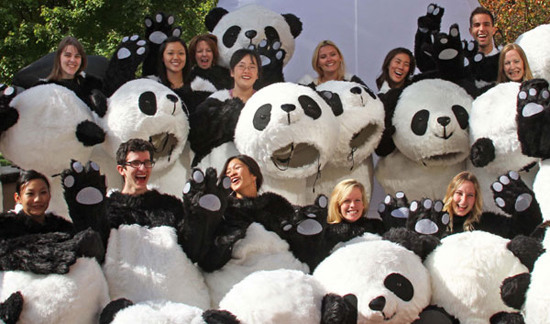 Two dozen semifinalists from North America, who are vying for positions as panda ambassadors, pose before the competition on Tuesday in Washington DC. They were scheduled to participate in a series of challenges in which their panda knowledge, physical strength, communications skills and team-working abilities would be tested. (Photo: China Daily)