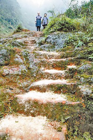 File photo shows Xu Chaoqing and her husband Liu Guojiang standing at their Love Ladder in Chongqing.