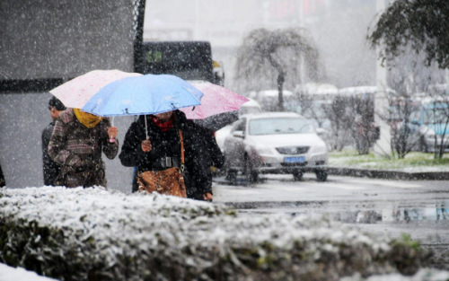 People walk in the snow in Harbin, capital of northeast China's Heilongjiang province, Nov 12, 2012. Many parts of China's northeast region witnessed an extensive snowfall on Sunday and Monday. [Photo/Xinhua]