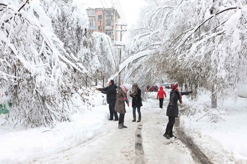 Workers knock snow off trees at a park in Hegang, Heilongjiang province, on Tuesday after snowstorms hit the city. FANG BAOSHU / FOR CHINA DAILY