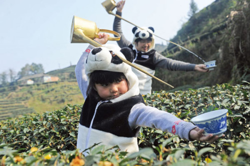 A girl and her father in panda costumes perform tea art in a tea garden in Ya'an, Sichuan province, on Sunday. The tea plants in the garden have been fertilized with panda excrement collected by An Yanshi, a former calligraphy teacher who has launched the pricey organic green tea. Photo by Zhang Lang / for China Daily