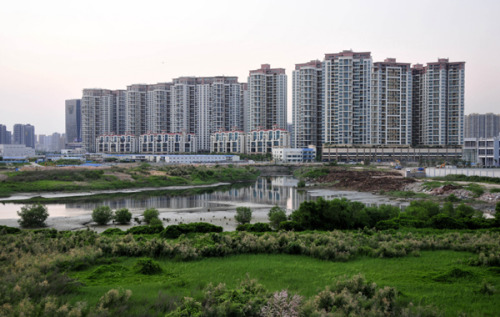 Newly built apartment blocks in the Qianhai Experimental Zone. [Photo/PROVIDED TO CHINA DAILY]