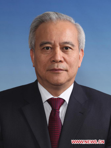 Wang Qinmin is elected as chairman of the executive committee of the All-China Federation of Industry and Commerce (ACFIC) on Dec. 10, 2012. (Xinhua)