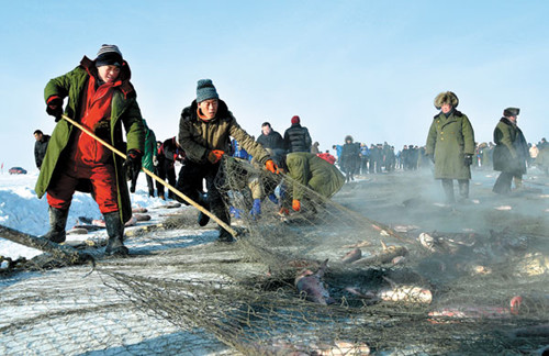 Fishermen on frozen Chagan Lake in Jilin province haul in an impressive catch on Thursday at the start of a regional winter festival. Photo by Zhang Xin'ge / For China Daily