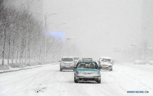 Vehicles move in snow in Shenyang, capital of northeast China's Liaoning Province, Feb. 28, 2013. Liaoning was hit by a snowstorm on Thursday. (Xinhua/Li Gang) 