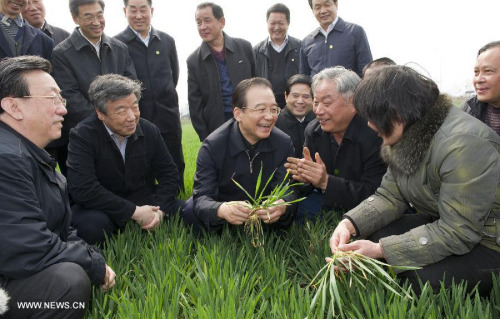 Chinese Premier Wen Jiabao (C) inspects wheat fields in Xiaoshi Village of Guxiang Township in Linying County, central China's Henan Province, March 17, 2012. Wen made an inspection tour in Linying County and Wuyang County in Luohe of Henan from March 17 to 18. (Xinhua File Photo/Huang Jingwen)