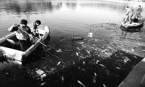 Workers at Beihai Park clear the dead fish that did not survive the winter from Beihai Lake Sunday. Park authorities blamed the fish deaths on misguided mercy releasers. Photo: Li Hao/GT 