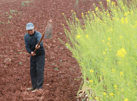 A farmer works the land in Dutang village, Sichuan province, after clouds were seeded to bring much-needed rain. The area has been experiencing a prolonged drought since last year. Lan Zitao / for China Daily