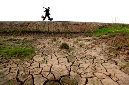 A farmer carrying water walks past a pond that has dried up from the prolonged drought in Guang'an city, Sichuan province, March 10, 2013. [Photo by Qiu Haiying/Asianewsphoto] 