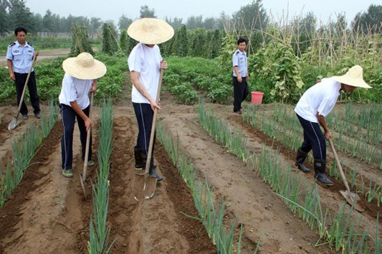 Recovering drug addicts do manual work at Zhiyuan rehabilitation center in Beijing's Shunyi district in July 2010. The center helps former addicts learn a trade or a skill that will enable them to make a living. Zhang Yujun / for China Daily