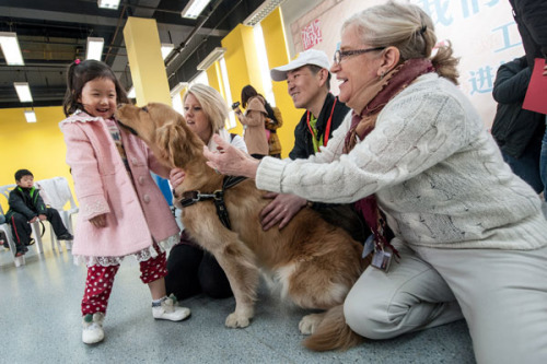 A dog that can provide medical assistance has contact with pupils at Beijing City International School on Thursday. The activity is aimed at helping people understand the importance of dogs working in various fields. Photo by Zhang Yu / Xinhua 