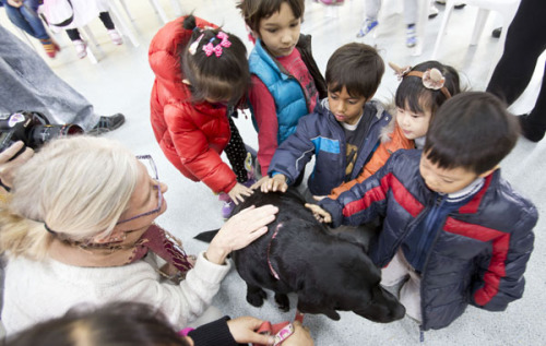 A dog that can provide medical assistance has contact with pupils at Beijing City International School on Thursday. The activity is aimed at helping people understand the importance of dogs working in various fields. Photo by Zhao Bing/ Xinhua 