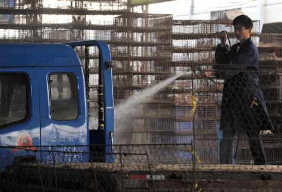 A worker cleans his truck after unloading poultry at Zijin shan live poultry market in Nanjing, Jiangsu province. You You / for China Daily