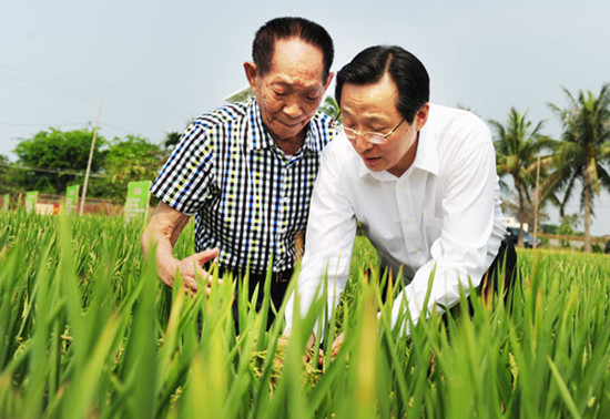 Minister of Agriculture Han Changfu (right) and agricultural scientist Yuan Longping, known as the father of hybrid rice, check a crop in Sanya, Hainan province, on Tuesday. They announced the launch of a project to breed new super rice strains with expected yields of 14.9 metric tons per hectare, well above the world average of 4 tons. Guo Liliang / For China Daily 