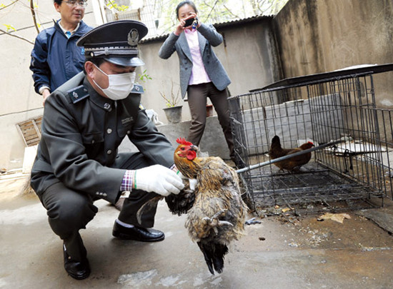 A law enforcement officer for urban management helps a family slaughter a chicken they raised in Nanjing, Jiangsu province, on Tuesday. The city ordered residents in the urban area to slaughter any poultry and livestock before Wednesday to prevent the spr