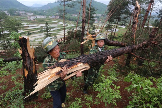 Two government workers in Xinhua county, Hunan province, remove tree trunks on Wednesday that were broken by rainstorms. Guo Guoquan / for China Daily