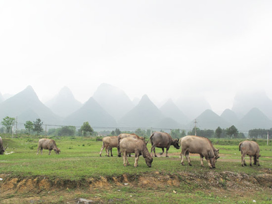 Pancun village is a fertile place surrounded by rolling mountains. Photo by Li Yang / China Daily