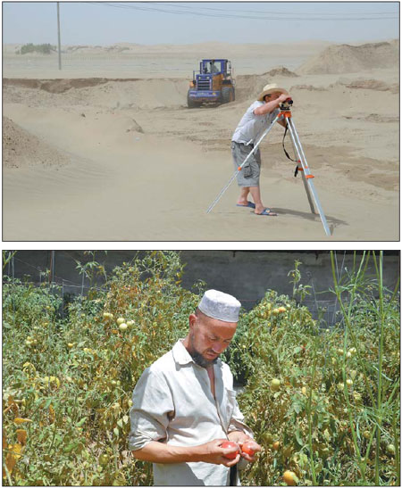 Top: A surveyor in Hotan county measuring a site for artificial greenbelt. Above: A farmer examines tomatoes in his greenhouse in Hotan. There are more than 100 greenhouses in the county. 