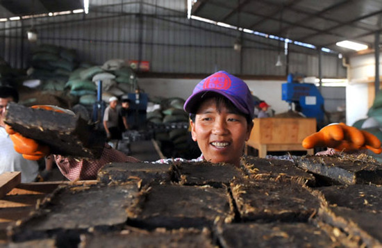 A worker checks bricks of compressed tea at a factory in Menghai county, Yunnan province, on May 19. The province is a major tea producer and boasts a few national names such as Pu'er. Chen Haining / Xinhua