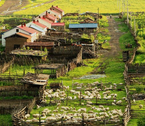 The Chaihe scenic zone located in Zhalantun city, a national tourist attraction, which is famous for its alps, wetlands, a volcano and primeval forest.[Photo/Xinhua] 