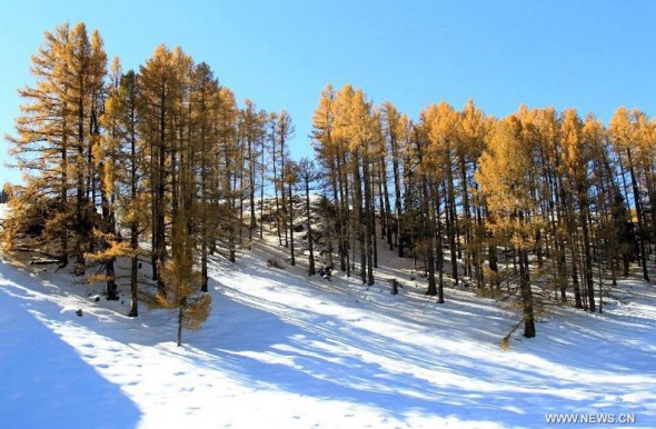 Photo taken on Oct. 11, 2012 shows the autumn scenery of the east Tianshan Mountain in Hami, northwest China's Xinjiang Uygur Autonomous Region. (Xinhua/Cai Zengle) 