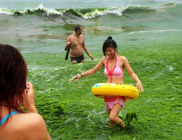 Tourists take photos last week in seawater covered in algae near a beach in Qingdao, Shandong province. The algae outbreak is now under control. Li Ziheng / Xinhua