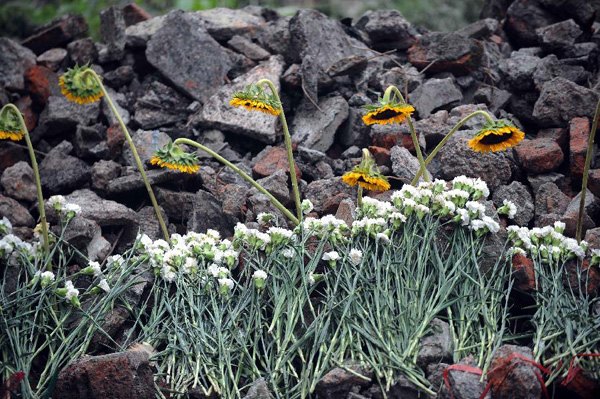 Photo taken on July 13, 2013 shows flowers presented to the victims at landslide scene in Sanxi Village of Dujiangyan City, southwest China's Sichuan Province. As of 19:00 p.m. (GMT 1100), 43 people were confirmed dead during the landslide that happened in the village of Sanxi on July 10. Some 118 people across the city were missing or can not immediately be reached. Local authorities are continuing to verify the exact number of those missing. Search and rescue work continues. (Xinhua/Xue Yubin)