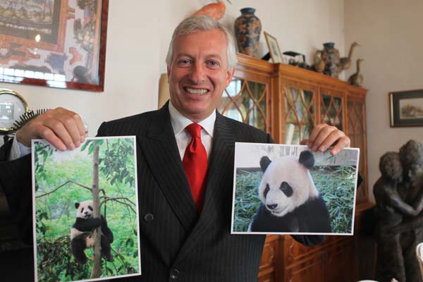 Eric Domb, president of Belgian zoo Pairi Daiza, with pictures of his VIP guests. The very important pandas are scheduled to arrive at the zoo in spring. [Fu Jing/China Daily ]