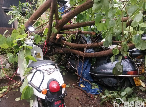 At least 29 people have been killed since typhoon Usagi, the most powerful this year, made landfall in south China's Guangdong province on Sunday evening, authorities said Tuesday. (Photo/news.xinhuanet.com)