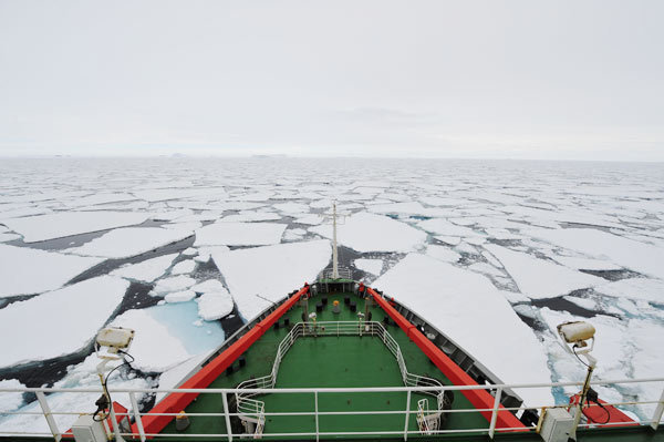 Chinese icebreaker Xuelong, or Snow Dragon, arrives at the Zhongshan Station on Dec 2 on the country's 30th expedition to the Antarctica that began on Nov 7. [ZHANG JIANSONG / XINHUA]