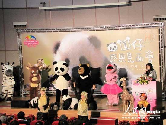 Yuan Zai, the first Taiwan-born baby panda, plays at the Taipei City Zoo in Taipei, southeast China's Taiwan, Jan. 4, 2013. Yuan Zai was unveiled to media on Saturday and will meet the public on Jan 6.