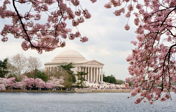 US Capitol, Washington, DC [Photo provided to China Daily]