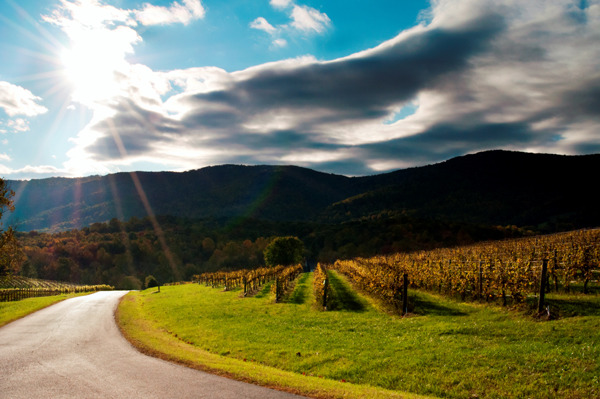 Nelson 151 Trail Fall Scenic, Virginia [Photo provided to China Daily]