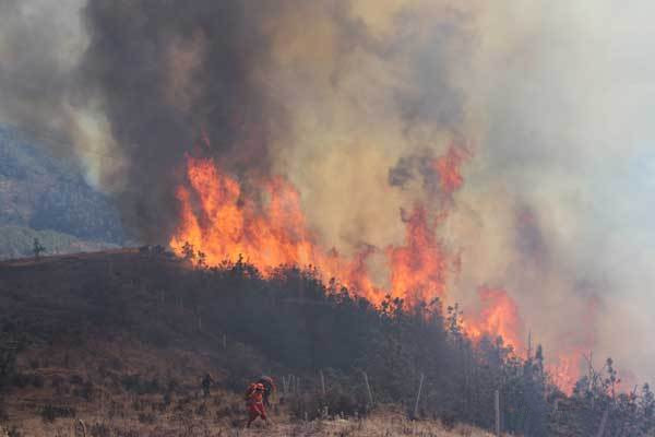 Photo taken on Feb. 4, 2014 shows the scene of a forest fire on the Fenghuang Mountain at Dachang Village in Jinning County, southwest China's Yunnan Province. About 310 firefighters and service men have been mobilized to extinguish the forest fire. (Xinhua/Gong Yan)