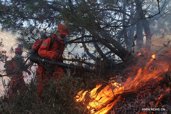 Firefighters try to put out a forest fire on the Fenghuang Mountain at Dachang Village in Jinning County, southwest China's Yunnan Province, Feb. 4, 2014. About 310 firefighters and service men have been mobilized to extinguish the forest fire. (Xinhua/Gong Yan)