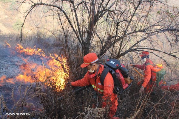 Firefighters try to put out a forest fire on the Fenghuang Mountain at Dachang Village in Jinning County, southwest China's Yunnan Province, Feb. 4, 2014. About 310 firefighters and service men have been mobilized to extinguish the forest fire. (Xinhua/Gong Yan)