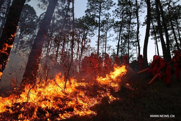 Fire fighters try to extinguish a fire raging through the forest at Changbanqiao Village of Anha Township in Xichang, China's Sichuan Province, April 11, 2014. A forest fire broke out here on Friday, covering an area of some 3 hectares. About 700 people has been sent to put out the blaze. (Xinhua/Cheng Xueli)