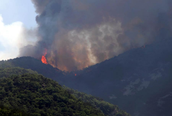 Blaze and dense smoke reveal the ferocity of the forest fire in Weihai, Shandong province, May 30, 2014. [Photo/asianewsphoto]