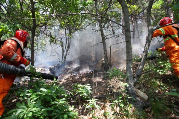 Firefighters work to distinguish a forest fire in Weihai, Shandong province, May 30, 2014. [Photo/asianewsphoto]