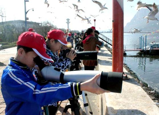 Beijing middle school students observe the black-headed gull, during a trip to Yunnan, photo taken in 2013. [Photo provided to chinadaily.com.cn]    