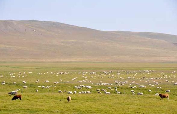 Scenery of West Ujimqin Banner in Xilin Gol League, Inner Mongolia autonomous region. (Photo/Xinhua) 