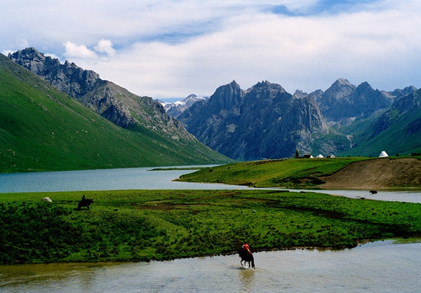 The flora of Madoi county, Qinghai province, is protected to prevent desertification. (WANG JING/CHINA DAILY)