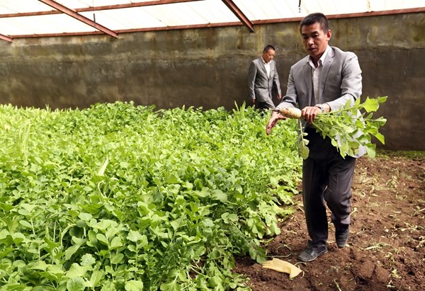 Villagers in Machali earn extra money from the vegetables they grow in greenhouses.(WANG JING/CHINA DAILY)